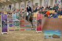 Filename=PT9_7985.JPG
Filesize=458KiB
Dimensions=1224x817
Date added=Oct 17, 2022 PT9_7985.JPG