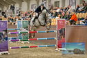 Filename=PT9_7991.JPG
Filesize=422KiB
Dimensions=1224x817
Date added=Oct 17, 2022 PT9_7991.JPG