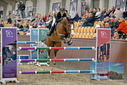 Filename=PT9_7996.JPG
Filesize=449KiB
Dimensions=1224x817
Date added=Oct 17, 2022 PT9_7996.JPG