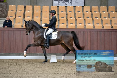 Blue Hors
dressage
Keywords: jan moeller christensen;hesselhoej dream