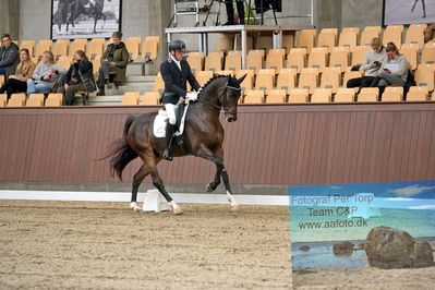 Blue Hors
dressage
Keywords: jan moeller christensen;hesselhoej dream