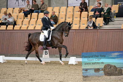 Blue Hors
dressage
Keywords: jan moeller christensen;hesselhoej dream