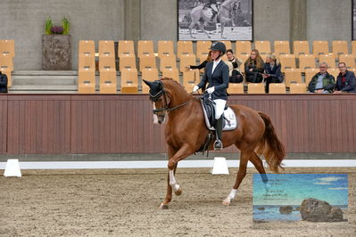 Blue Hors
dressage
Keywords: katrine springborg;springborgs abiza