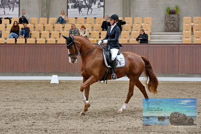 Blue Hors
dressage
Keywords: katrine springborg;springborgs abiza