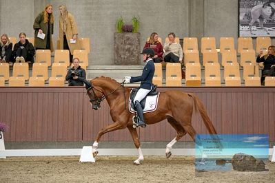 Blue Hors
dressage
Keywords: helena b hansen;lindegaards donkey dancer