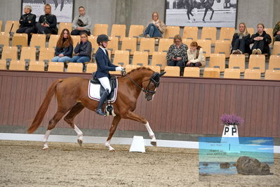 Blue Hors
dressage
Keywords: helena b hansen;lindegaards donkey dancer