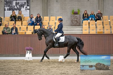 Blue Hors
dressage
Keywords: mette svare ehlers;de st malou e