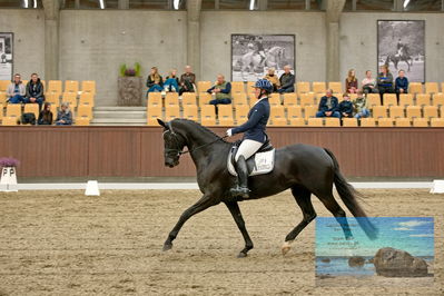 Blue Hors
dressage
Keywords: mette svare ehlers;de st malou e