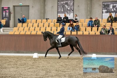 Blue Hors
dressage
Keywords: mette svare ehlers;de st malou e