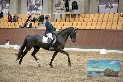 Blue Hors
dressage
Keywords: mette svare ehlers;de st malou e