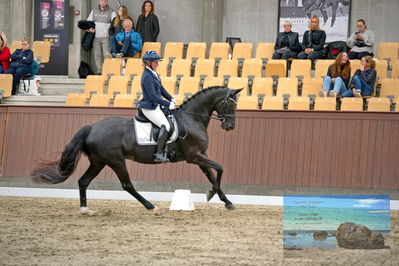 Blue Hors
dressage
Keywords: mette svare ehlers;de st malou e