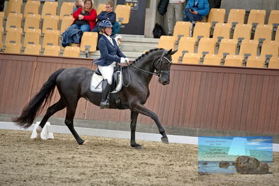 Blue Hors
dressage
Keywords: mette svare ehlers;de st malou e