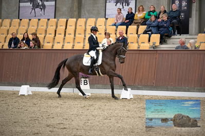 Blue Hors
4 års finale dressur
Keywords: mette sejbjerg jensen;straight horse floriana