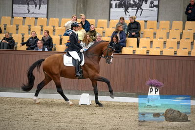 Blue Hors
4 års finale dressur
Keywords: betina jaeger jensen;zaunkönig