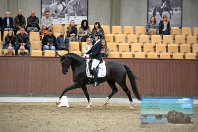 Blue Hors
4 års finale dressur
Keywords: anne-marie hosbond;fabulosa