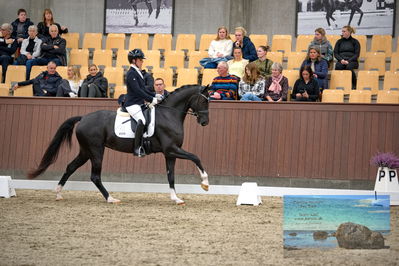 Blue Hors
4 års finale dressur
Keywords: anne-marie hosbond;fabulosa