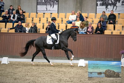 Blue Hors
4 års finale dressur
Keywords: anne-marie hosbond;fabulosa