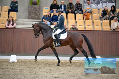 Blue Hors
4 års finale dressur
Keywords: eric guardia marrtinez;for real