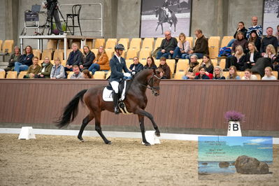 Blue Hors
4 års finale dressur
Keywords: eric guardia marrtinez;for real