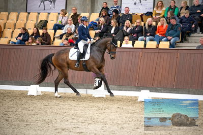 Blue Hors
4 års finale dressur
Keywords: anne troensengård;kastaniegaardeens philina