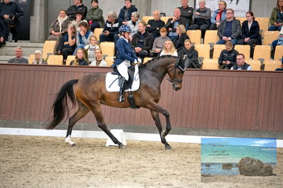 Blue Hors
4 års finale dressur
Keywords: anne troensengård;kastaniegaardeens philina