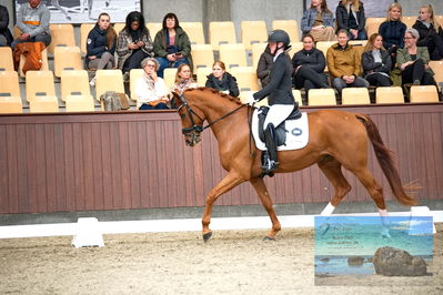 Blue Hors
4 års finale dressur
Keywords: josefine dahl hoffman;nordentoft's ibi-alabast
