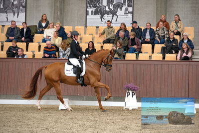 Blue Hors
4 års finale dressur
Keywords: josefine dahl hoffman;nordentoft's ibi-alabast