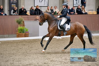 Blue Hors
7 års finale
Keywords: marie noerheden johansen;noerhedens diva deluxe