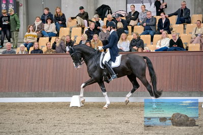 Blue Hors
7 års finale
Keywords: karin nissen;scaglietti v
