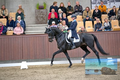 Blue Hors
7 års finale
Keywords: emma ahlberg;logo's gaya