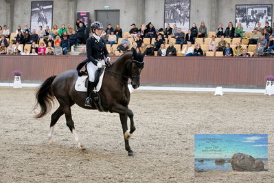 Blue Hors
7 års finale
Keywords: carina cassøe krüth;koblenz-st