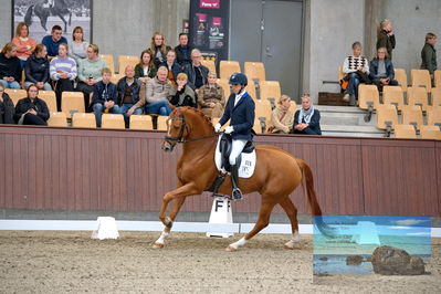 Blue Hors
5 års finale dressur
Keywords: christian tudda ruiz;hoejgaardens zacksmir