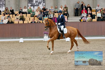 Blue Hors
5 års finale dressur
Keywords: christian tudda ruiz;hoejgaardens zacksmir