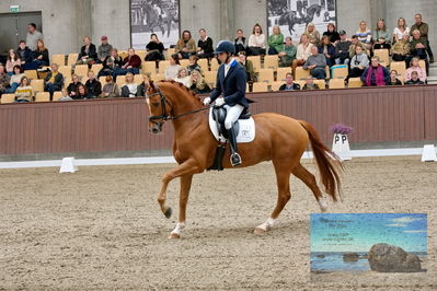Blue Hors
5 års finale dressur
Keywords: christian tudda ruiz;hoejgaardens zacksmir
