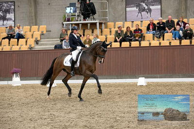 Blue Hors
6 års finale
Keywords: susanne barnow;skovdals dexter