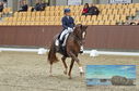 Filename=PT8_1850.JPG
Filesize=437KiB
Dimensions=1229x814
Date added=Oct 15, 2022 PT8_1850.JPG