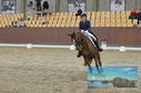 Filename=PT8_1853.JPG
Filesize=497KiB
Dimensions=1229x814
Date added=Oct 15, 2022 PT8_1853.JPG