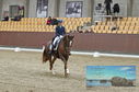 Filename=PT8_1854.JPG
Filesize=447KiB
Dimensions=1229x814
Date added=Oct 15, 2022 PT8_1854.JPG