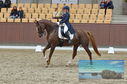 Filename=PT8_1856.JPG
Filesize=470KiB
Dimensions=1229x814
Date added=Oct 15, 2022 PT8_1856.JPG