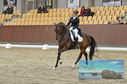 Filename=PT8_1863.JPG
Filesize=407KiB
Dimensions=1229x814
Date added=Oct 15, 2022 PT8_1863.JPG