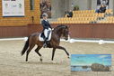 Filename=PT8_1864.JPG
Filesize=413KiB
Dimensions=1229x814
Date added=Oct 15, 2022 PT8_1864.JPG