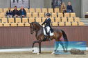 Filename=PT8_1874.JPG
Filesize=415KiB
Dimensions=1229x814
Date added=Oct 15, 2022 PT8_1874.JPG