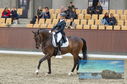 Filename=PT8_1875.JPG
Filesize=450KiB
Dimensions=1229x814
Date added=Oct 15, 2022 PT8_1875.JPG