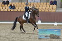 Filename=PT8_1876.JPG
Filesize=481KiB
Dimensions=1229x814
Date added=Oct 15, 2022 PT8_1876.JPG