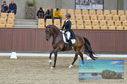 Filename=PT8_1877.JPG
Filesize=418KiB
Dimensions=1229x814
Date added=Oct 15, 2022 PT8_1877.JPG