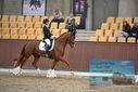 Filename=PT9_6469.JPG
Filesize=405KiB
Dimensions=1224x817
Date added=Oct 15, 2022 PT9_6469.JPG