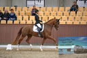 Filename=PT9_6470.JPG
Filesize=786KiB
Dimensions=1140x760
Date added=Oct 15, 2022 PT9_6470.JPG