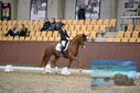 Filename=PT9_6471.JPG
Filesize=414KiB
Dimensions=1224x817
Date added=Oct 15, 2022 PT9_6471.JPG