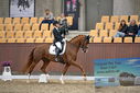Filename=PT9_6473.JPG
Filesize=779KiB
Dimensions=1130x754
Date added=Oct 15, 2022 PT9_6473.JPG