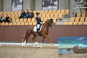 Filename=PT9_6475.JPG
Filesize=796KiB
Dimensions=1152x768
Date added=Oct 15, 2022 PT9_6475.JPG